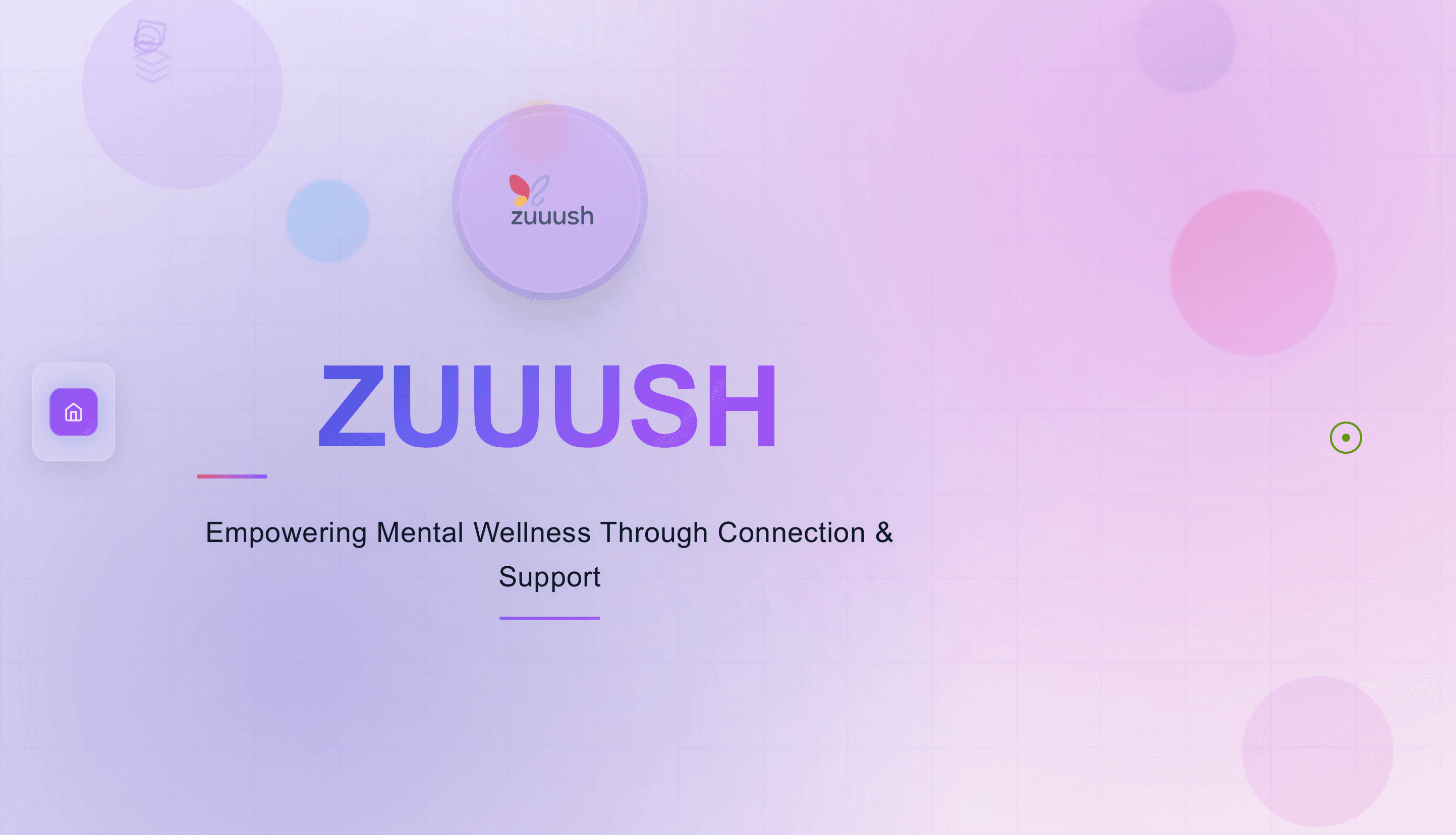 Zuuush project screenshot 1
